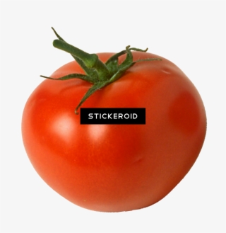 Tomato #6134154