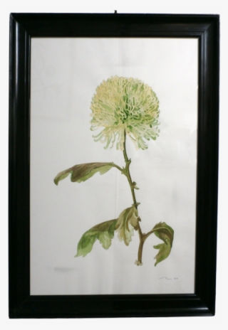 Framed Watercolour, 34 X 24 Inches, £195 #6134429