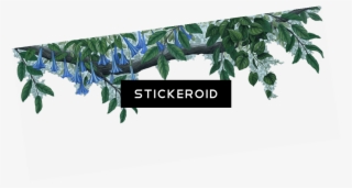 Jungle Border Nature - Jungle Borders Transparent Png #6135088