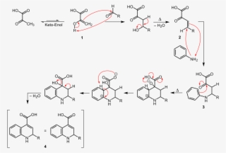 Doebner Reaction - Doebner Von Miller Synthesis #6135996
