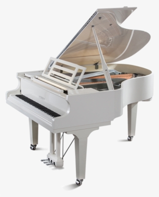 Feurich Grand Dynamic Ii - Feurich #6136071