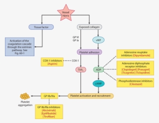 Image Not Available - Diagram #6136145