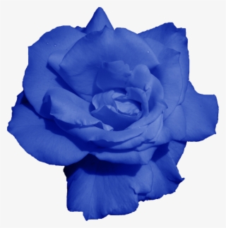 Png File Size - Message #6136239