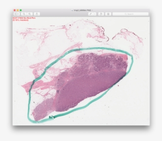 Slide 337, F003, Slide 337, F004 - Map #6137052