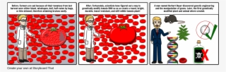 Genetically Modified Tomatoes - Genetically Modified Tomato #6138014