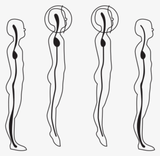 58294main The - Posture #6139865