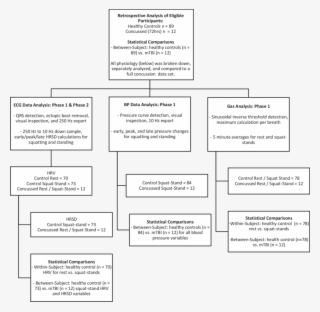 Outline Of The Retrospective Data Analysis Process - Statistics #6140129