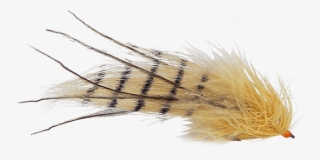 Product Description - Pest #6144318