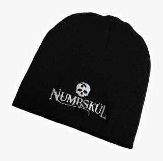 Skulcap - Beanie #6144319