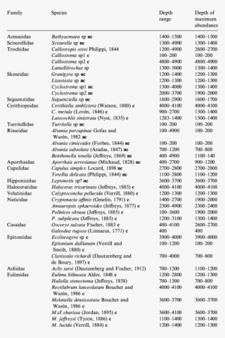 Depth Distribution Of Prosobranchs From The Porcupine - Porcupine Seabight #6144418 Depth Distribution Of Prosobranchs From The Porcupine - Porcupine Seabight #6144418