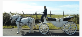 Horse And Buggy #6145926