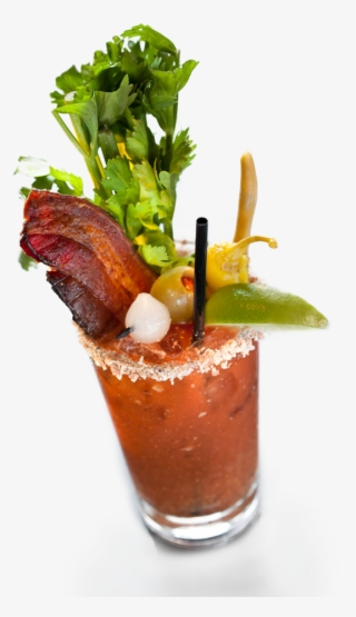 Bacon Bloody Mary #6148472