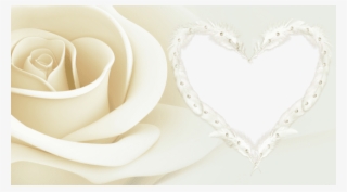 Free Png Transparent Frame With Rose Png Images Transparent - Garden Roses #6149481