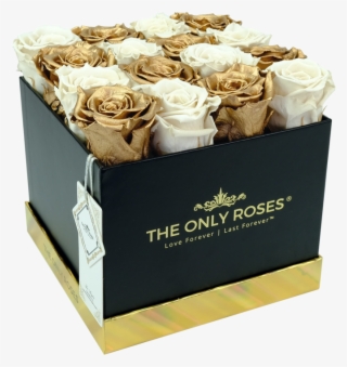 Square Black Huggy Rose Box - Rose #6149714