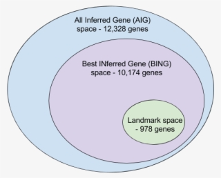 Users Can Ask Whether Their Genes Of Interest Belong - Circle #6156743