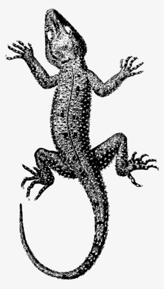 T-shirt Github Internet Animal - Clip Art #6158801