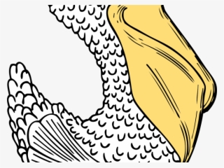 Duck Clipart Side View - Cartoon Pelican Shower Curtain #6159245