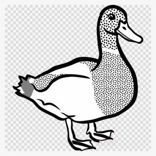 Clip Art Duck Clipart American Pekin Duck Clip Art - Duck Black And White Clip Art #6159375