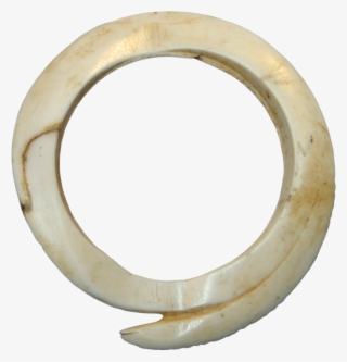 Papua New Guinea, Green River District, Kueruek Clam - Body Jewelry #6161641