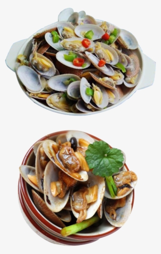 Clam Vector Mussel - Seafood #6161801