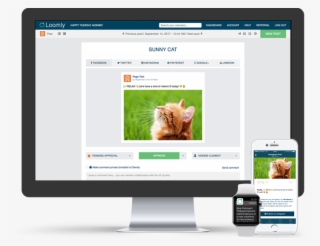 Social Media Calendars #6162926