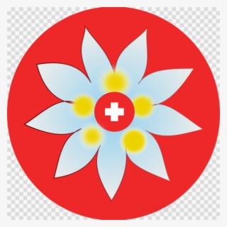 Edelweiss Swiss Flower Clipart Switzerland Leontopodium - Map Maker Icon #6166339
