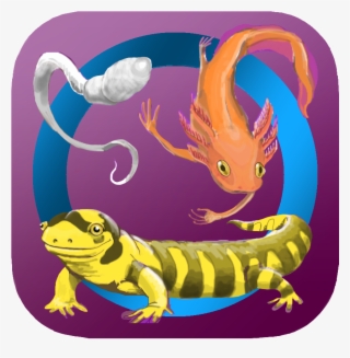 App Development - Lineage #6170634