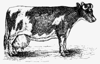 Cattle Dairy Goat Jersey - Cow Sheep Clipart #6174350