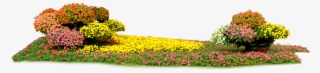 Floral Design Rectangle Transprent - Flowerbed Png #6174481