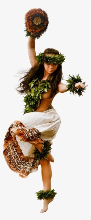 Tropical Hula Dance - Hawaii #6175026