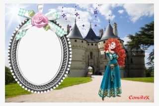 Or Freedome Vpn Mod Contact Your Company's Support - Château De Chaumont #6176054