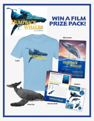Giveaway - Humpback Whales #6176565 Giveaway - Humpback Whales #6176565