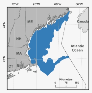 Humpback Whale Feeding Bia, March Through - Humpback Whale #6176746