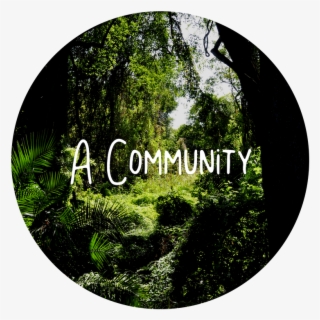 You'll Get The Chance To Become Part Of A Lively Group - Travellers: Journey Into A Dark World #6176872