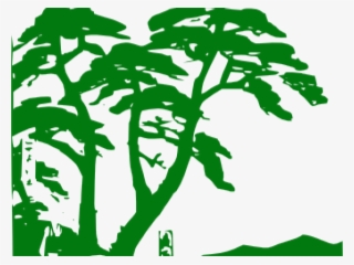 Jungle Clipart Jungle Tree - Tropical Rainforest Clipart #6177154