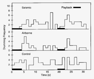 A Typical Example Of Footdrumming Responses In Adult - Sound #6180541