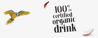 100% Certified Organic Drink Logo - Drink #6180601