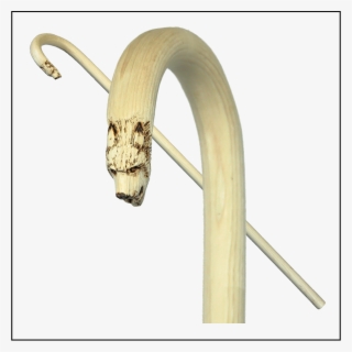 Wolf Head Horn On Hickory Thumper Stock - Stock #6181193