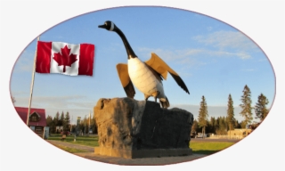 The Wawa Goose #6181537