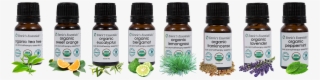 Emric's Essentials Essential Oils Collection - Organic Eucalyptus Essential Oil By Emric's Essentials #6182835
