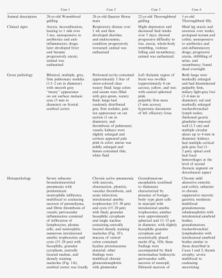 Infections With Acanthamoeba Sp - Document #6183986