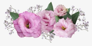 Flower-3029456 960 - ลาย ดอกไม้ #6184336