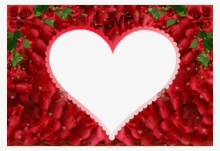 Free Png Love Rose Redphoto Frame Png Images Transparent - Love Rose Image Png #6185113
