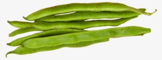 1 Pack - Green Bean #6186580