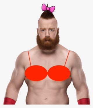 If You're Not Sure If Something Is Proboards Safe, - Wwe Sheamus #6191821