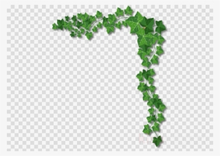 Ivy Page Border Clipart Clip Art - Portable Network Graphics #6192106
