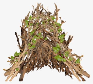 They Added Our Leaflets In To The Vines - Branch #6195438