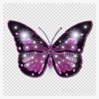 Beautiful Butterfly Png Clipart Butterfly Butterflies - Butterfly Png Hd #6197412