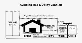 Tree Clearance1 - Utility Program #6197951