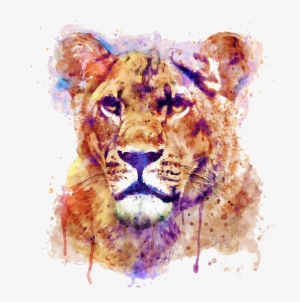 Bleed Area May Not Be Visible - Lioness Art #620272